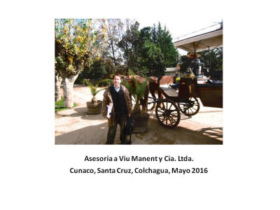 Asesoría a Viu Manent y Cia. Ltda. - Jaime Salom